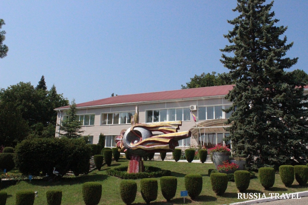ДЕТСКИЙ ОЗДОРОВИТЕЛЬНЫЙ ЛАГЕРЬ ПАНСИОНАТА САНАТОРНОГО ТИПА «ВОСТОК»