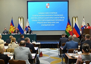 Глава Сочи Андрей Прошунин обсудил с руководителями санаторно-курортного комплекса концепцию предстоящего летнего сезона