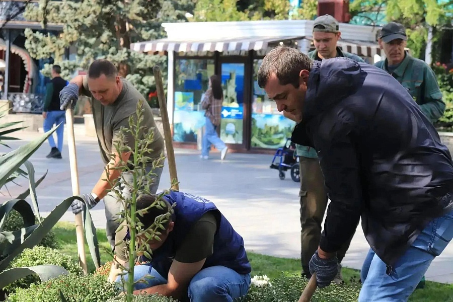 В Ялте стартовало осеннее цветочное оформление
