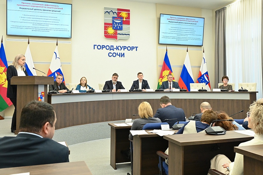 В этом году улицы Сочи украсят более 30 тысяч саженцев